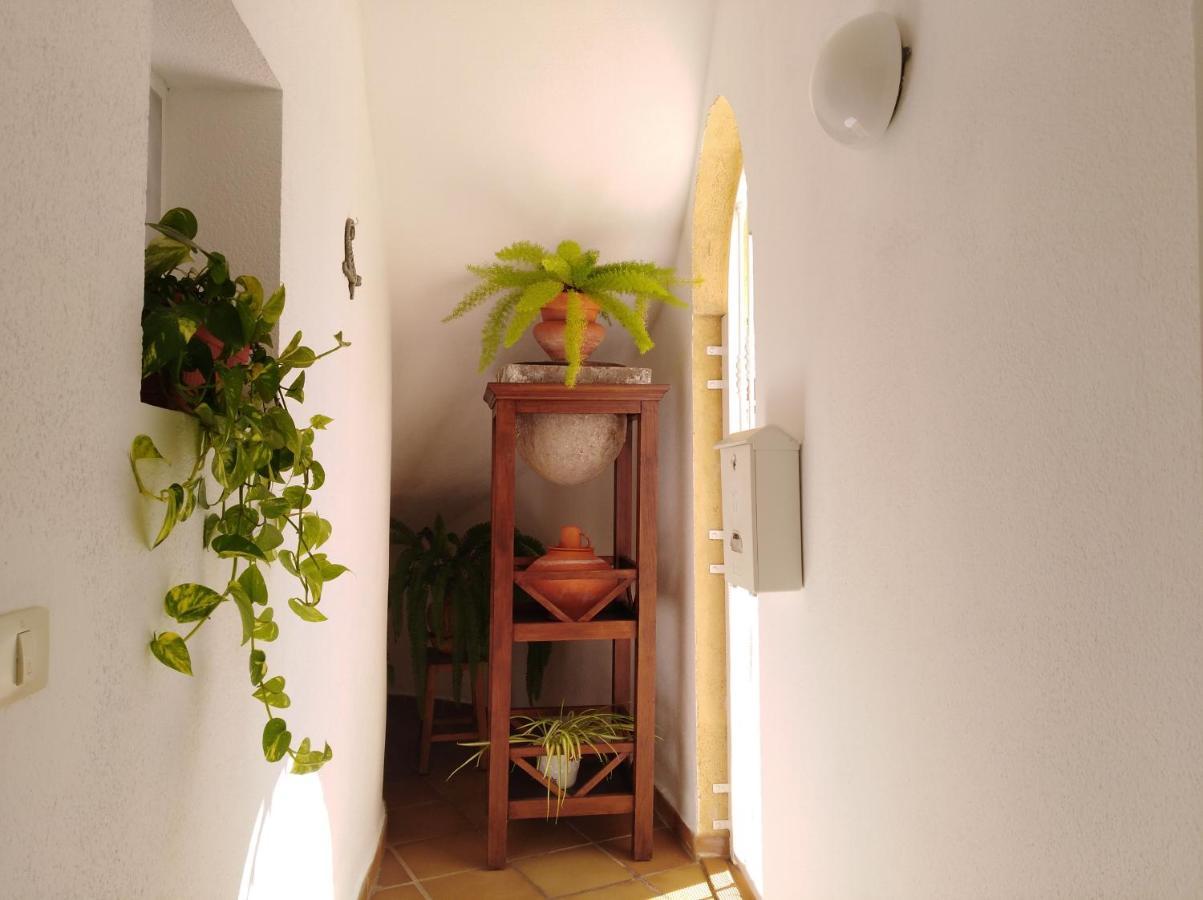 Apto. Pina De Mar Costa Adeje Dış mekan fotoğraf
