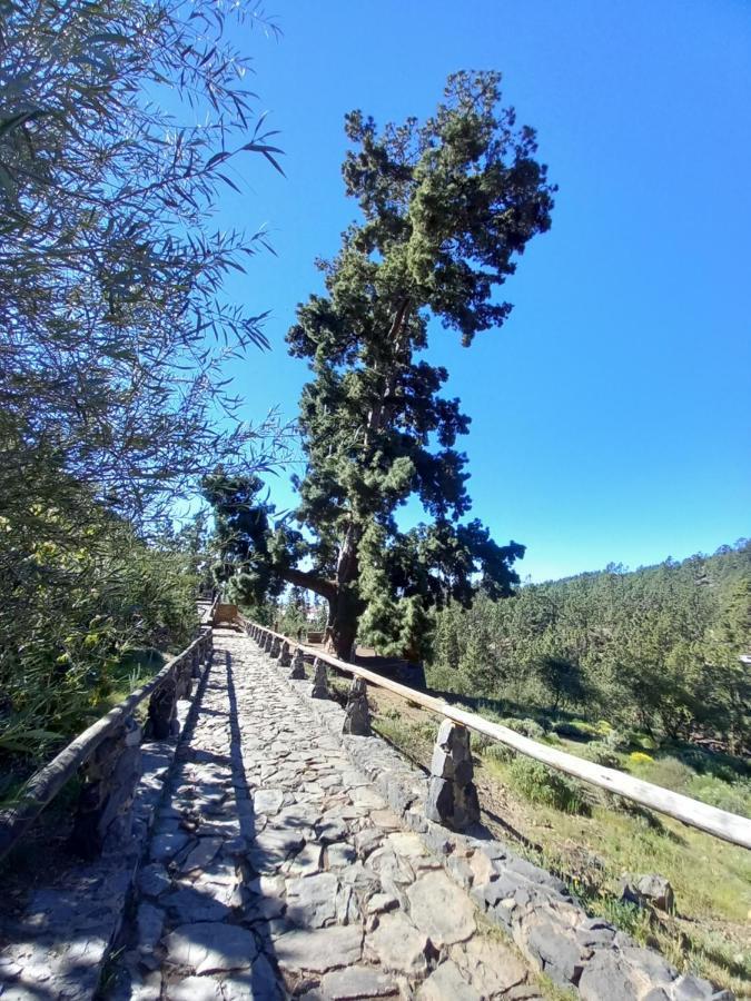 Apto. Pina De Mar Costa Adeje Dış mekan fotoğraf