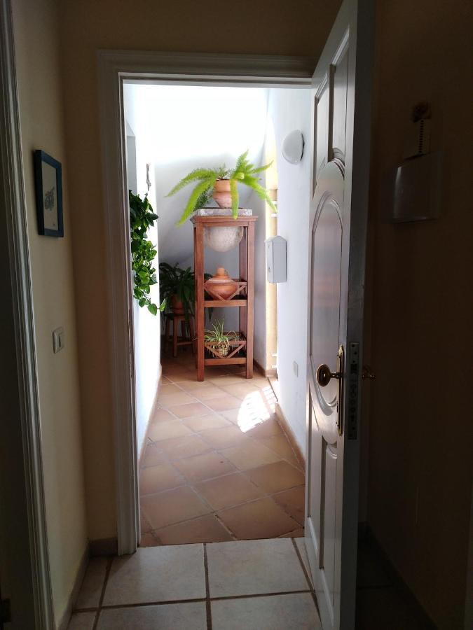 Apto. Pina De Mar Costa Adeje Dış mekan fotoğraf